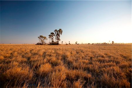 simsearch:862-03820204,k - Botswana, Makgadikgadi. Coucher de soleil sur la prairie de la magnifique Makgadikgadi. Photographie de stock - Rights-Managed, Code: 862-03736354