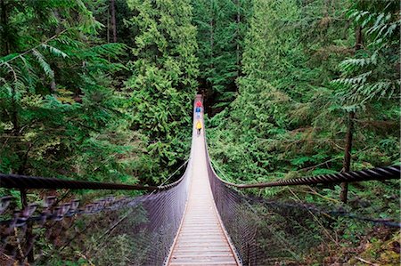 Canada, British Columbia, Vancouver, suspension bridge at Lynn Canyon Park Foto de stock - Con derechos protegidos, Código: 862-03736408