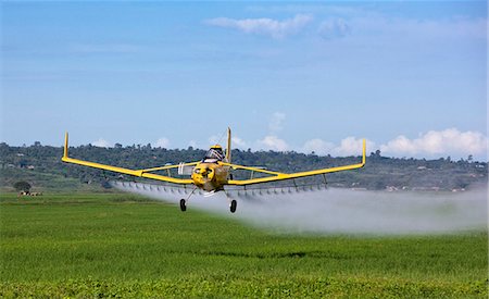 Kenya. Crop spraying in a large-scale rice scheme in the Yala Swamp of Western Kenya. Stock Photo - Rights-Managed, Code: 862-03736757