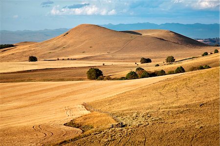 simsearch:862-03711155,k - Kenya,Timau. Rolling wheat farms at Timau, 8,500 feet above sea level, looking northeast to the Nyambeni Mountains. Stock Photo - Rights-Managed, Code: 862-03736776