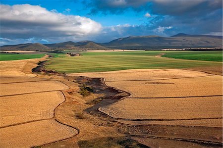 simsearch:862-03366391,k - Kenya, Timau. Rouler les exploitations de blé à Timau, 8 500 pieds au-dessus du niveau de la mer, vers le mont Kenya, couvert de nuages. Photographie de stock - Rights-Managed, Code: 862-03736778