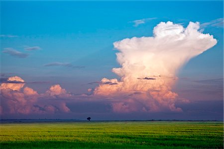 In the early morning, a huge cumulus nimbus cloud forms over Lake Victoria. Rice is grown extensively in the Yala Swamp Stock Photo - Rights-Managed, Code: 862-03736828