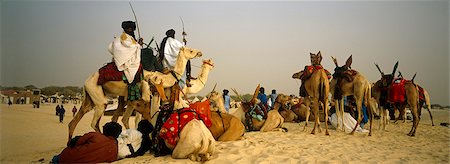 Mali, Essakane, près de Timbuktu ou Tombouctou. Chameaux et hommes Touaregs se rassemblent au Festival dans le désert ou le Festival au désert Photographie de stock - Rights-Managed, Code: 862-03736932