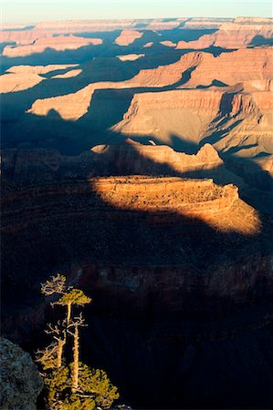 simsearch:862-07690951,k - United States; Arizona; Grand Canyon. Sunrise over the canyon from Mather Point, one of the viewpoints on the South Rim. Stock Photo - Rights-Managed, Code: 862-03737410