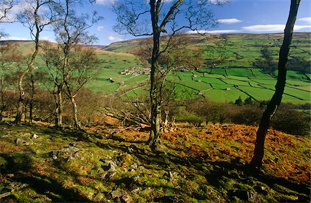 swaledale - Traditionnelle agricoles vallée de Swaledale, Yorkshire Dales National Park, Angleterre Photographie de stock - Rights-Managed, Code: 862-03731164