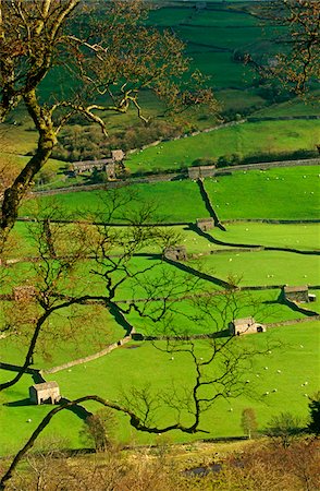 simsearch:862-03731163,k - Traditionnelle agricoles vallée de Swaledale, Yorkshire Dales National Park, Angleterre Photographie de stock - Rights-Managed, Code: 862-03731165