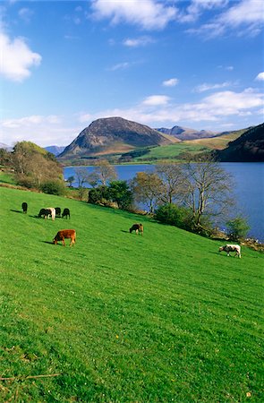 simsearch:862-03731171,k - Buttermere, Lake District, Cumbria, Angleterre Photographie de stock - Rights-Managed, Code: 862-03731191