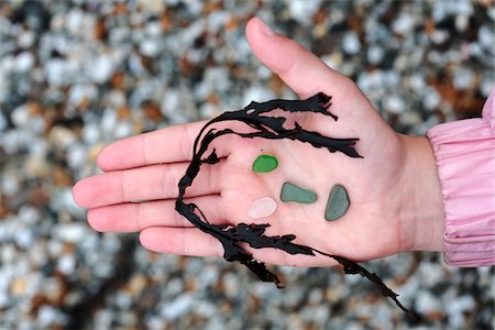 simsearch:862-03731157,k - England, Cornwall. Smiley face made from pebbles and seaweed, arranged on a child's hand. Foto de stock - Direito Controlado, Número: 862-03731257