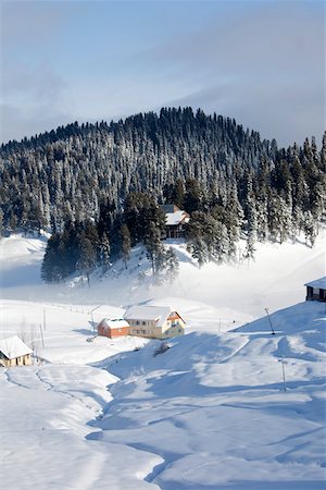 simsearch:862-03807589,k - Gulmarg, Kashmir, India Stock Photo - Rights-Managed, Code: 862-03731295