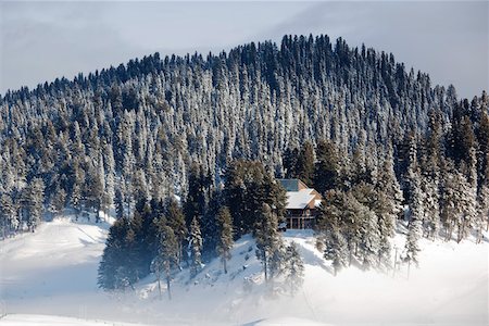 simsearch:862-03807589,k - Gulmarg, Kashmir, India Stock Photo - Rights-Managed, Code: 862-03731296