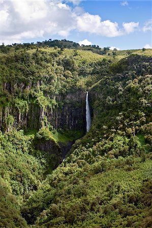 Kenya, The impressive Gura Falls drops over 1,000 feet from the moorlands of the Aberdare Mountains in Central Kenya. Stock Photo - Rights-Managed, Code: 862-03731446
