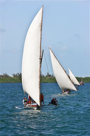 sailboat racing - Kenya. Mashua sailing boats with outriggers participating in a race off Lamu Island. Stock Photo - Rights-Managed, Code: 862-03731517