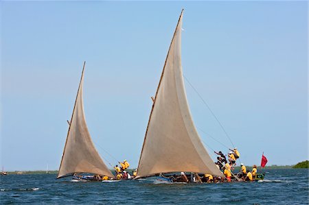 Kenia. Knollige Kapuzinerkresse Segelboote mit Auslegern, die Teilnahme an einem Rennen ausgeschaltet Lamu Insel. Stockbilder - Lizenzpflichtiges, Bildnummer: 862-03731519