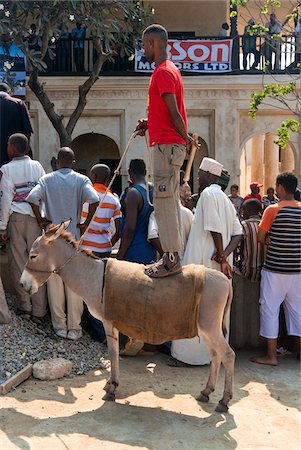 Kenya. A man stands on the back of his donkey to get a better view of a public concert. Stock Photo - Rights-Managed, Code: 862-03731538