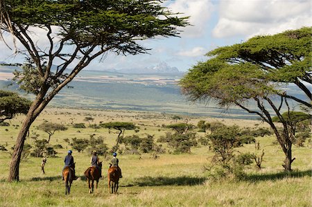 Kenya, Laikipia, Lewa Downs. Horse riding during a family safari at Lewa Downs. Foto de stock - Con derechos protegidos, Código: 862-03731616