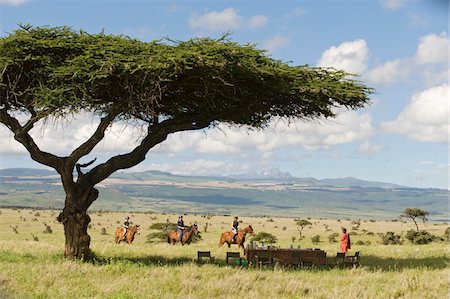 simsearch:862-03731524,k - Laikipia, Kenia Lewa Downs. Eine Gruppe auf Safari Reiten nähern sich ihren Busch Frühstück, im Schatten einer Akazie eingerichtet. Stockbilder - Lizenzpflichtiges, Bildnummer: 862-03731618