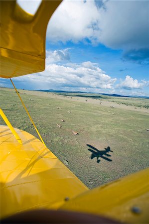 Kenya, Laikipia, Lewa Downs. Will Craig flies his 1930s style Waco Classic open cockpit bi-plane for ultimate aerial safaris. Foto de stock - Direito Controlado, Número: 862-03731626