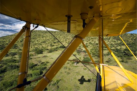 Kenya, Laikipia, Lewa Downs. Will Craig flies his 1930s style Waco Classic open cockpit bi-plane for ultimate aerial safaris. Stock Photo - Rights-Managed, Code: 862-03731627