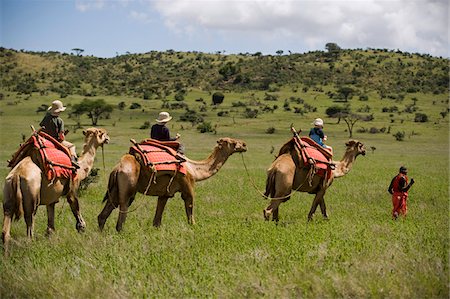 Kenya, Laikipia, Lewa Downs.  Children on a family safari, ride camels at Lewa Downs. Stock Photo - Rights-Managed, Code: 862-03731621