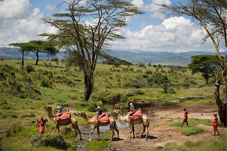 Kenya, Laikipia, Lewa Downs.  Children on a family safari, ride camels at Lewa Downs. Stock Photo - Rights-Managed, Code: 862-03731622