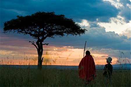 sunset safari - Kenya, Masai Mara.  Safari guide, Salaash Ole Morompi, guiding a young boy on a bush walk during a family safari. Stock Photo - Rights-Managed, Code: 862-03731708