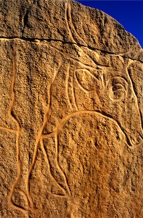 fezzan - Libye, le Fezzan, Messak Settafet. Un pétroglyphe de bovin avec balayage des grand cornes, probablement, buffle d'Afrique. Wadi Mathendusch Photographie de stock - Rights-Managed, Code: 862-03731766