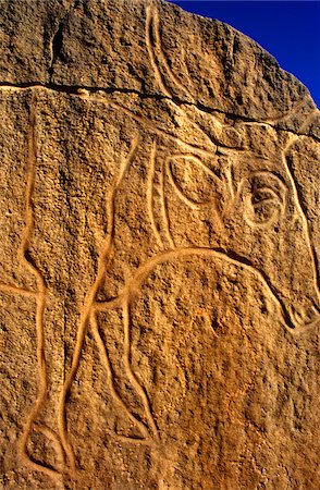 fezzan - Libya, Fezzan, Messak Settafet. A petroglyph of a bovine with large sweeping horns, probably, African buffalo. Wadi Mathendusch Foto de stock - Con derechos protegidos, Código: 862-03731766