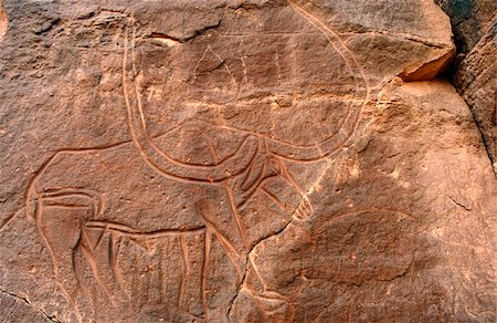 simsearch:862-03731765,k - Libye, le Fezzan, Messak Settafet. Un pétroglyphe de bovin avec grandes cornes larges, probablement un buffle d'Afrique, Wadi Tiksatin Photographie de stock - Rights-Managed, Code: 862-03731762