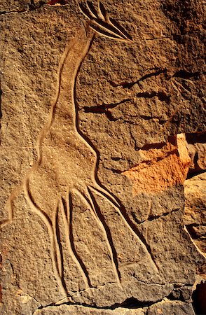 Libya, Fezzan, Messak Settafet. A petroglyph of a giraffe stands amidst the outcrops of Wadi Mathendusch. Fotografie stock - Rights-Managed, Codice: 862-03731773