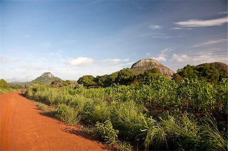 Au Mozambique, près de Nampula. Les magnifiques paysages du Nord du Mozambique, au petit matin. Photographie de stock - Rights-Managed, Code: 862-03731881