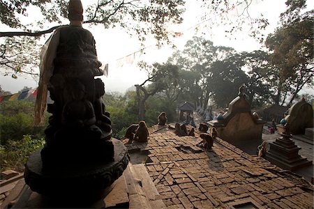 simsearch:862-03365482,k - Népal, Katmandou, singes dans le Temple de Swayambunath (Monkey Temple) qui se trouve un sur une colline avec une vue superbe sur la vallée de Katmandou Photographie de stock - Rights-Managed, Code: 862-03731973