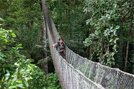 Pérou. Jésus, un guide local expérimenté au Inkaterra séjournez Amazonica, traversant un pont sur le parcours de la cime des arbres de la canopée. Photographie de stock - Rights-Managed, Code: 862-03732023
