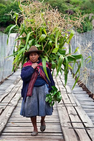 simsearch:862-03732121,k - Peru, A woman with a load of maize stalks to feed to her pigs crosses a narrow bridge spanning the Urubamba River. Foto de stock - Con derechos protegidos, Código: 862-03732049