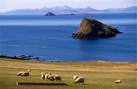 scotland sheep - View of the Outer Hebrides from the Isle of Skye, Scotland Foto de stock - Con derechos protegidos, Código: 862-03732247