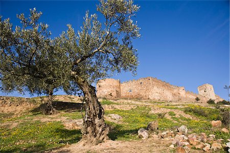 Castle of Medellin, birthplace of Hernán Cortés in 1485, Extremadura, Spain, Europe. Stock Photo - Rights-Managed, Code: 862-03732373