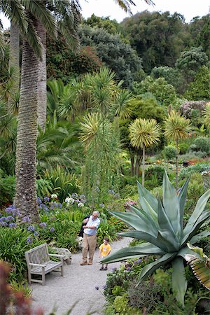 Angleterre, îles de Scilly, Tresco, jardin de l'abbaye. Grand-père et son petit-fils, explorer l'une des terrasses du jardin. Photographie de stock - Rights-Managed, Code: 862-03807362