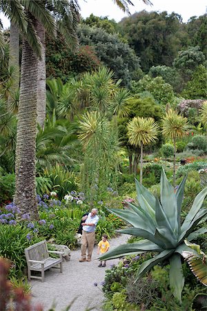 England, Isles of Scilly, Tresco, Abbey Garden. Grandfather and grandson exploring one of the garden's terraces. Stock Photo - Rights-Managed, Code: 862-03807362