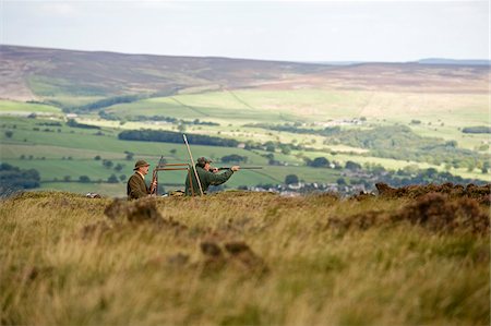 UK; Yorkshire.  Grouse shooting. Stock Photo - Rights-Managed, Code: 862-03807398