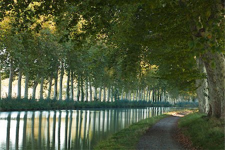 France, Languedoc-Rousillon, Canal du Midi.  The Canal du Midi in Southern France connects the Garonne River to the Etang de Thau on the Mediterranean. Fotografie stock - Rights-Managed, Codice: 862-03807444