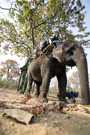 India, Madhya Pradesh, Satpura National Park. Young family on an elephant-back safari. Stock Photo - Rights-Managed, Code: 862-03807480