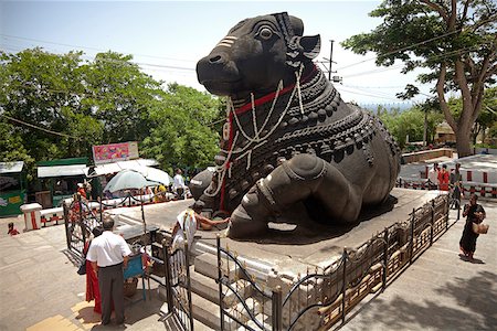 Mysore, Indien. Der Stier Nandi; als eines der größten Schnitzereien aus einem einzigen Stück Gestein (Granit) in Indien. Stockbilder - Lizenzpflichtiges, Bildnummer: 862-03807521