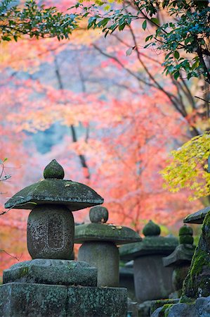 sagano - Asia, Japan. Kyoto, Sagano, Nison in (Nisonin) Temple, (834), stone lantern amongst red autumn leaves Foto de stock - Direito Controlado, Número: 862-03807649
