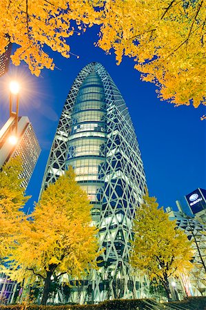 simsearch:841-03035791,k - Asia, Japan, Tokyo, Shinjuku, Tokyo Mode Gakuen Cocoon Tower, Design School building, yellow ginkgo leaves Stock Photo - Rights-Managed, Code: 862-03807678