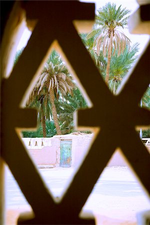 palm tree in the sahara desert - Ghadames, Libya; The old city build out of mud, served as refuge for settlers against the extreme high temperatures of the desert. In the past it was the last large oasis and refuge before entering the Sahara desert Stock Photo - Rights-Managed, Code: 862-03807861