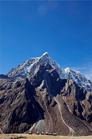 Nepal, Everest Region, Khumbu Valley.  A yak baggage train on the Everest Base Camp Trail near the Periche Valley Foto de stock - Con derechos protegidos, Código: 862-03808029