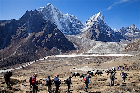 porter - Nepal, Everest Region, Khumbu Valley.   Trekkers and Porters on the Everest Base Camp Trail alongside the Periche Valley Stock Photo - Rights-Managed, Code: 862-03808031