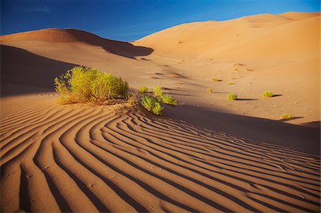 simsearch:862-05998280,k - Oman, Empty Quarter. The martian-like landscape of the Empty Quarter dunes. Evening light. Foto de stock - Con derechos protegidos, Código: 862-03808171