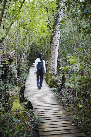 simsearch:862-03808521,k - Woman walking along forest trail, Storms River, Eastern Cape, South Africa Foto de stock - Con derechos protegidos, Código: 862-03808541