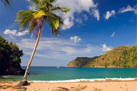 The Caribbean, Trinidad and Tobago, Tobago Island, Englishmans Bay Foto de stock - Con derechos protegidos, Código: 862-03808645