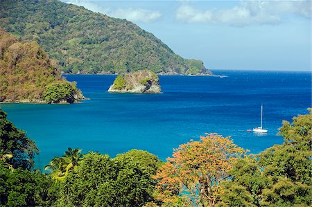 L'île de Tobago Caraïbes, Trinidad et Tobago, Photographie de stock - Rights-Managed, Code: 862-03808647